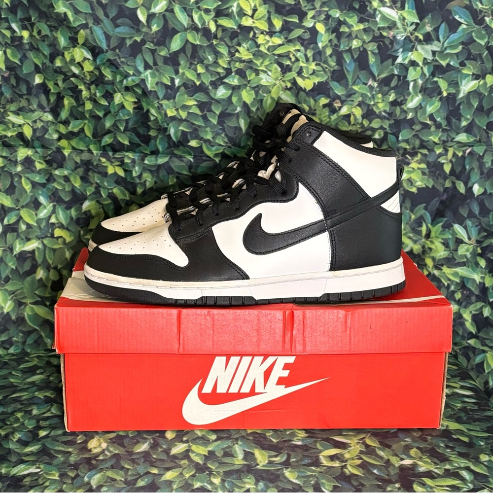 Panda Nike Dunks